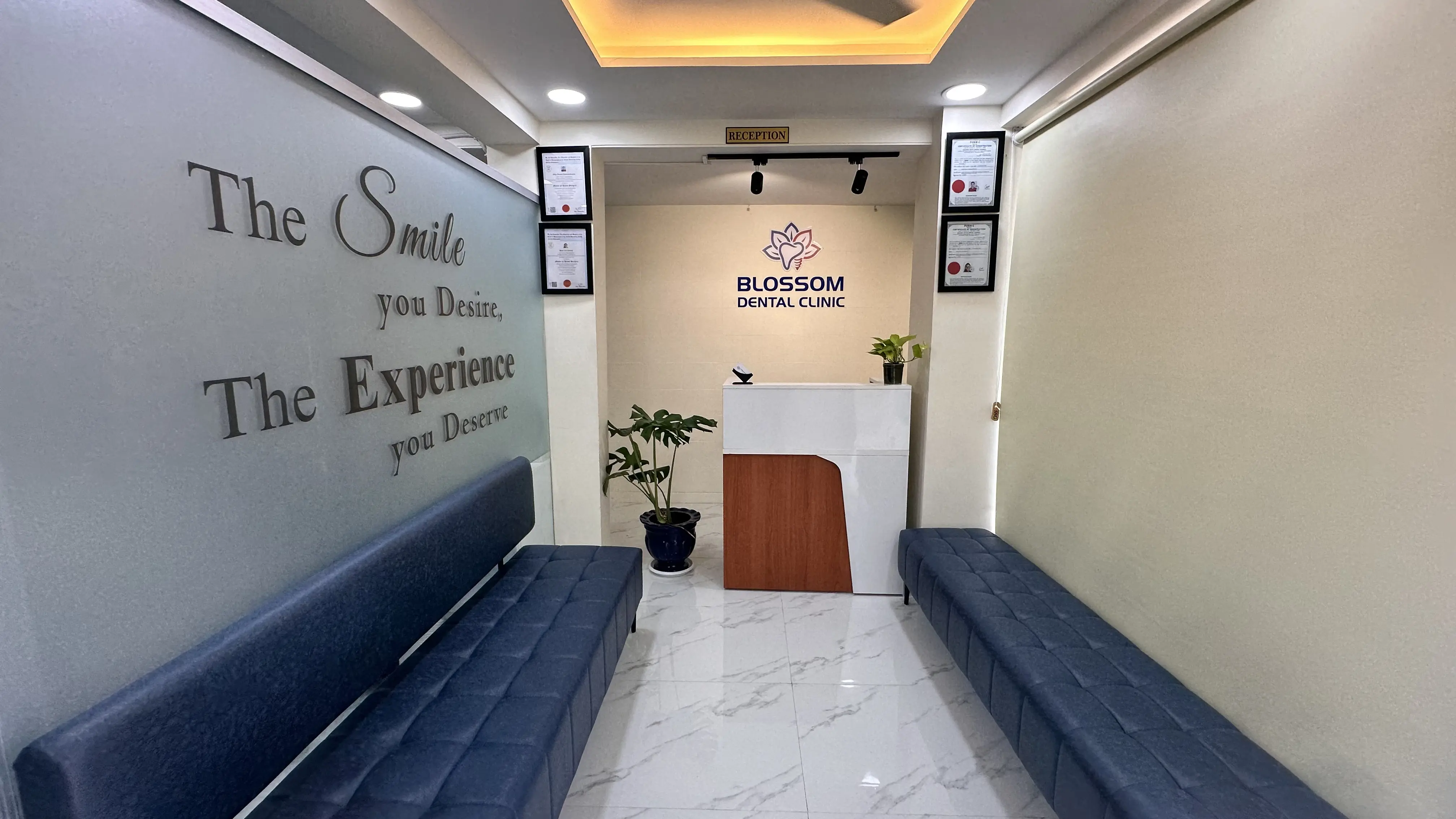 Blossom Dental Clinic – Interior